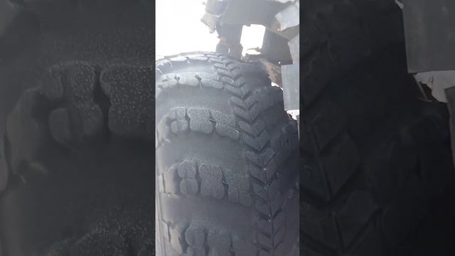 наши болотоходы