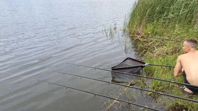 Карповая рыбалка на платнике. #рыбалка #carpfishing #fishing #carp