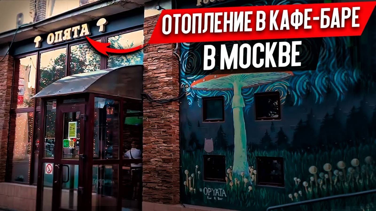 Отопление в Кафе-Баре _Опята_ в Москве [Электрические Каменные Радиаторы] Heat Stone
