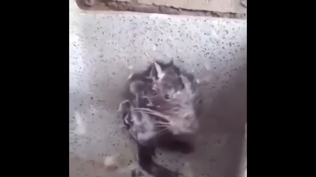 агент (сергей) моется в душе