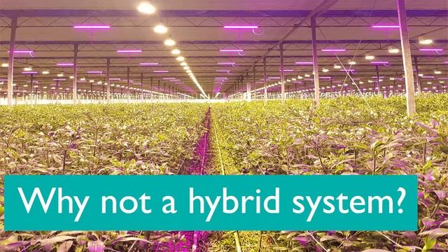 Hybrid Lighting System LED-HPS