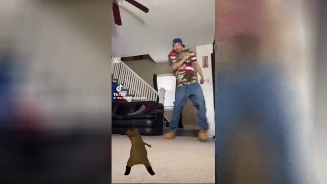 Best video of Tik Tok! 06.03.25 / 05