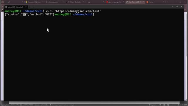 сз17-HTTP API в curl _ Компьютерные сети 2025 - 17