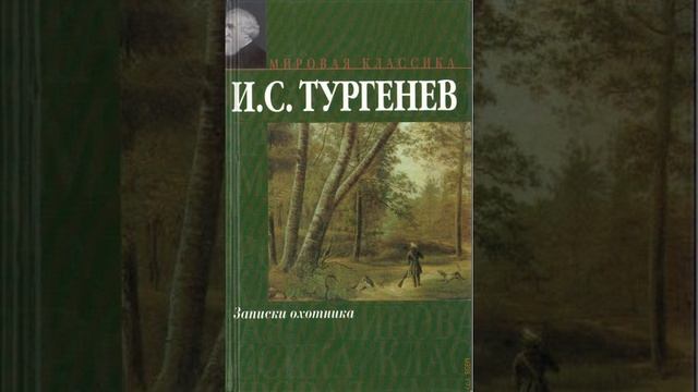 Уездный лекарь. Рассказ Ивана Сергеевича Тургенева. Краткий пересказ.