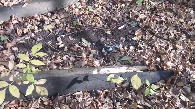 СО 2 бомба