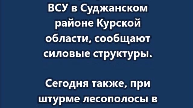 Четверо российских военных захватили в плен сразу 6 солдат ВСУ