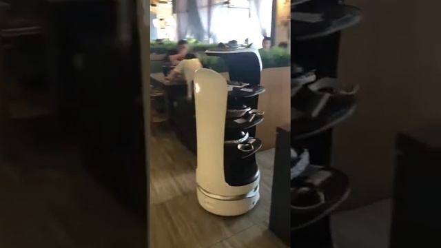 Bellabot (advanced version) work in restaurant, help to delivery food- Pudu Robotics