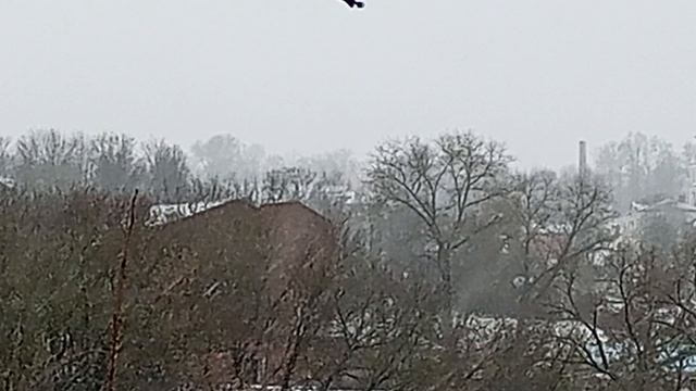 Смоленск