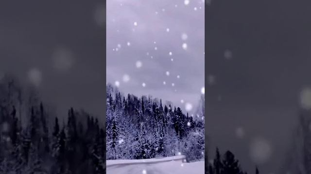 ВИА "Виктория Три" - Старые зимы