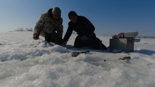 Ловля большого карася со льда