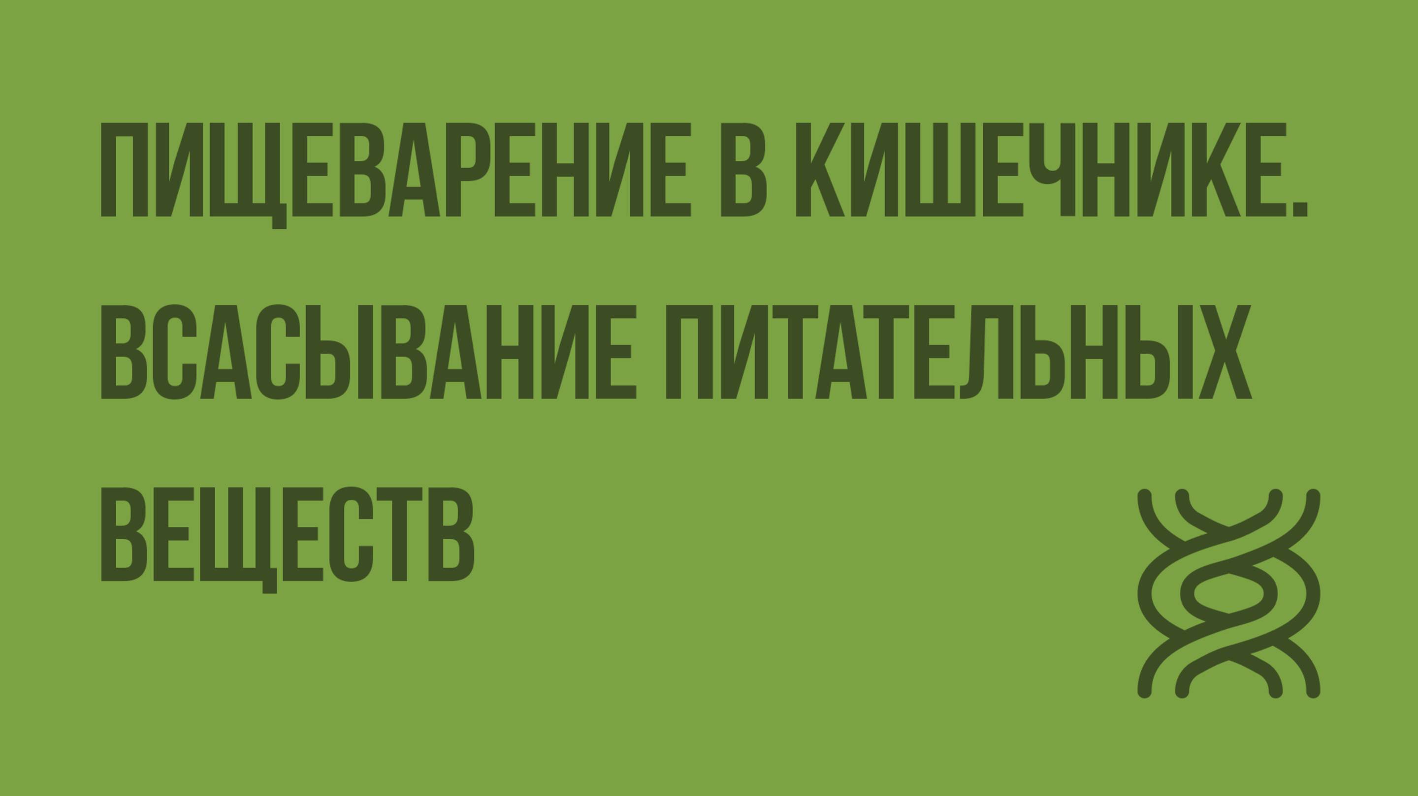 Пищеварение в кишечнике. Всасывание питательных веществ. Видеоурок по биологии 8 класс