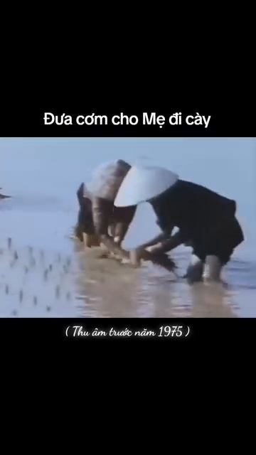 Bài hát: Đưa Cơm Cho Mẹ Đi Cày.
Sáng tác: Hàn Ngọc Bích
Trình bày: Ngọc Thoa
