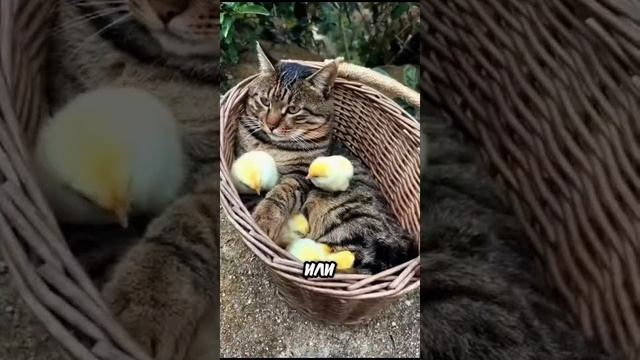 1000013803.mp4
