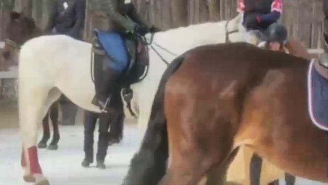 Масленица в конном клубе Ахиллес