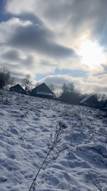 Черная дорога в Крылово 16.02.2025