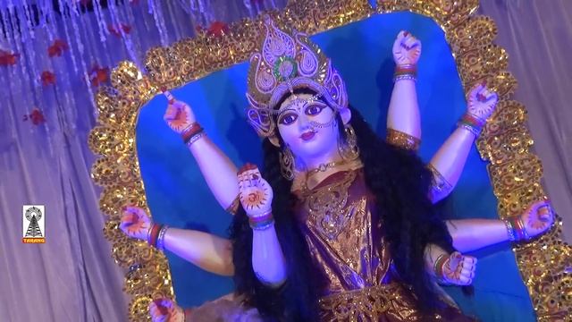 Has Puchay Raja Ram Sharda Kai Bahini | देशी भगत | desi bhagat | bagheli bhagat | navratri bhagat