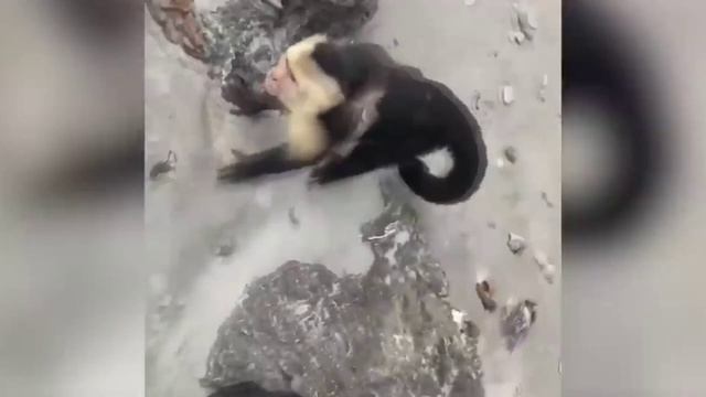 приколы