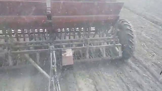 Юмз сію сою