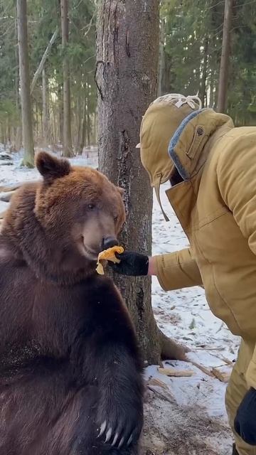 🇷🇺Вот как отмечали Масленицу в Костромской области.