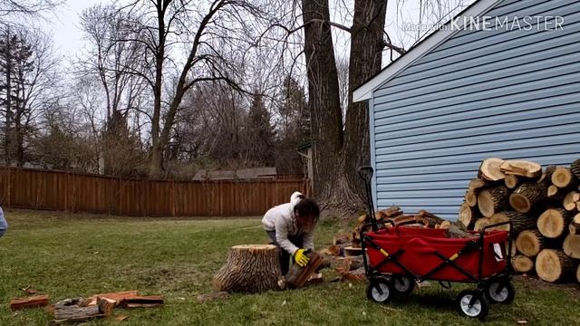 Splitting Apple wood ( phua ntoo )