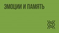 Особенности высшей нервной деятельности человека. Эмоции и память. Видеоурок по биологии 8 класс