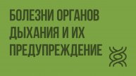 Болезни органов дыхания и их предупреждение. Видеоурок по биологии 8 класс