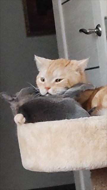 Любовь)