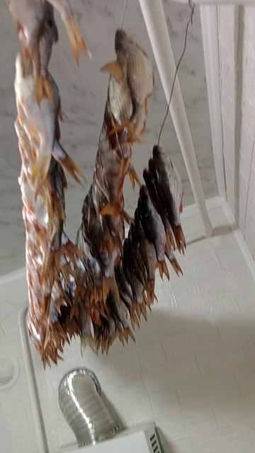 К пенному, рыба сушеная