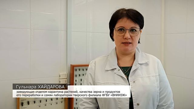 Специалисты тв. лаборатории ФГБУ «ВНИИЗЖ» проверяют фитосанитарную безопасность цветочной продукции