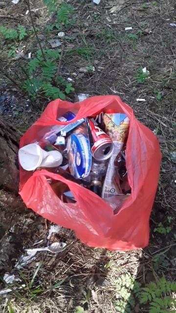 Уборка  мусора в лесу 2