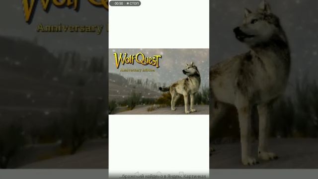 Наши любимые игры #Video