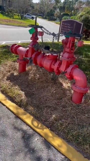 Huge fire hydrant! #shortsfeed #youtubeshorts