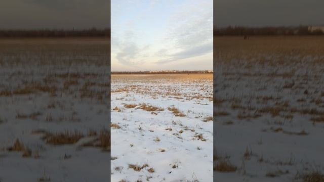 1000010611.mp4