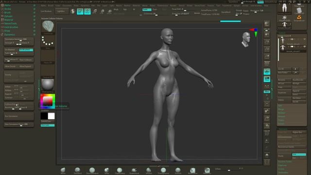 Zbrush Cloth CCAD Spring 2021