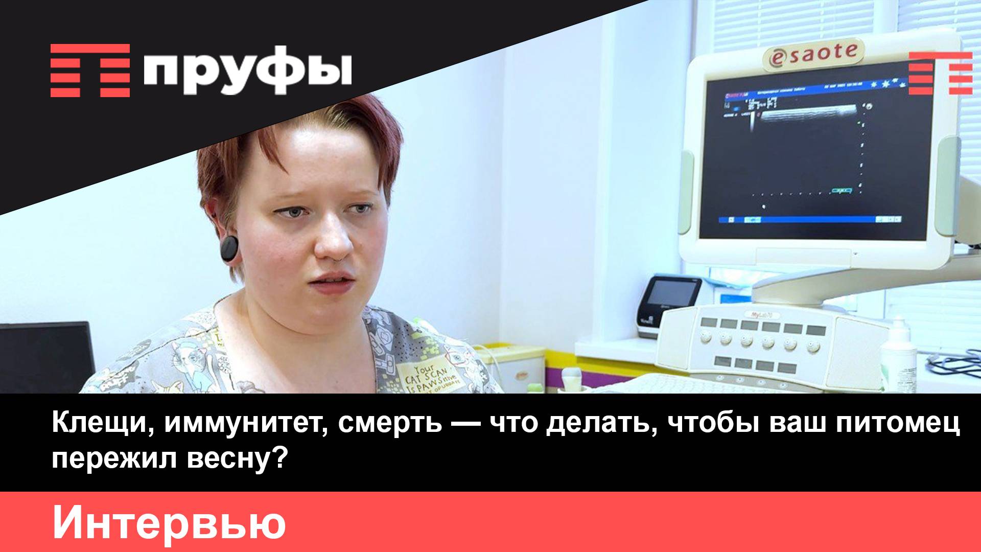 90% кошек не выходят на улицу - но массово мрут, что происходит?