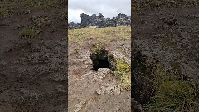 Шамолет
