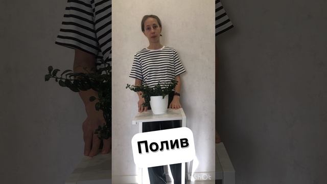 Неманантус