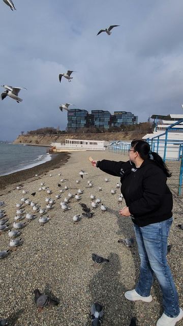 Голодные Анапские птички 🐦 🐦 🐦