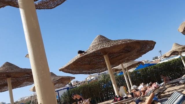 VLOG: КАК ЖЕ ЗДЕСЬ КРАСИВО В ШАРМ ЭЛЬ ШЕЙХЕ