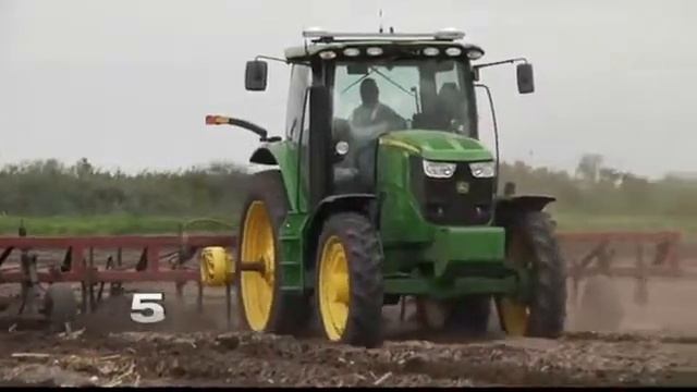 Valley Corn Producers Could be Eligible for $1.5B Settlement