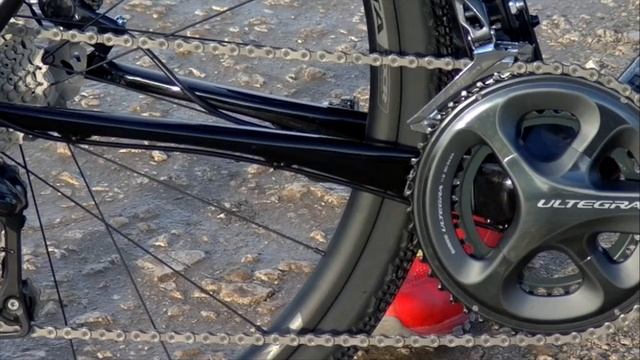 Test Salsa Warbird 2D