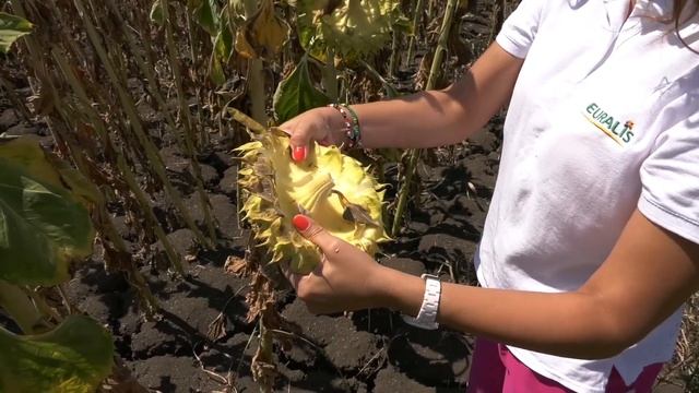 Успешно земеделие - броят от 25. 02. 2021