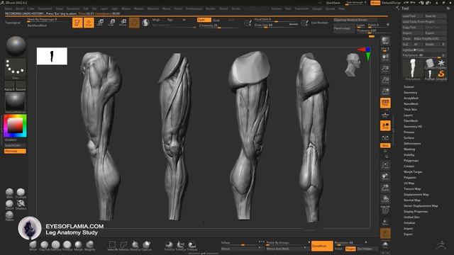 Eyes of Lamia - Ecorche Leg Study Sculpt