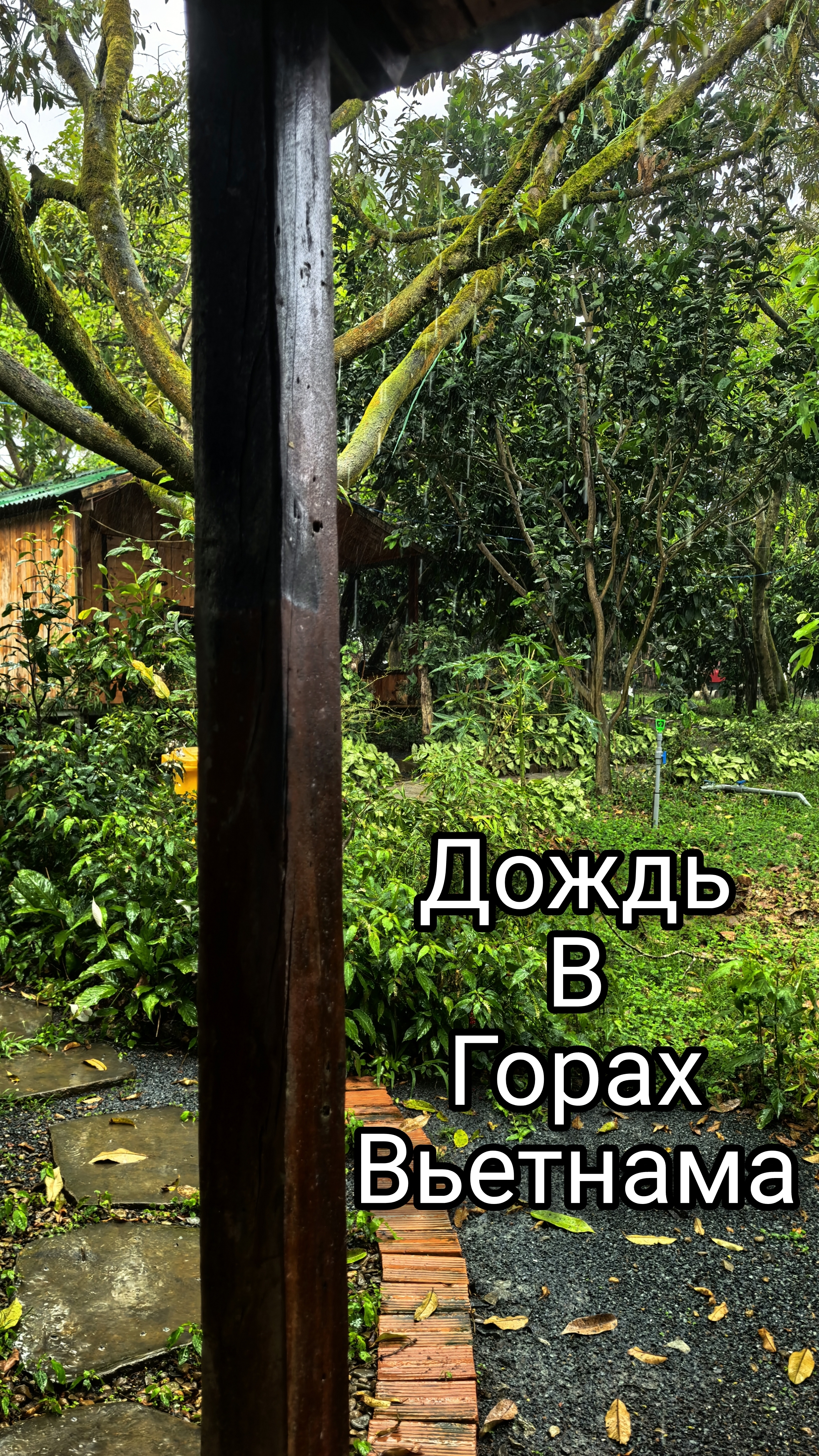 Вечерний дождь в Баолоке, Вьетнам. 6 марта 2025