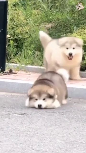 1000092385.mp4