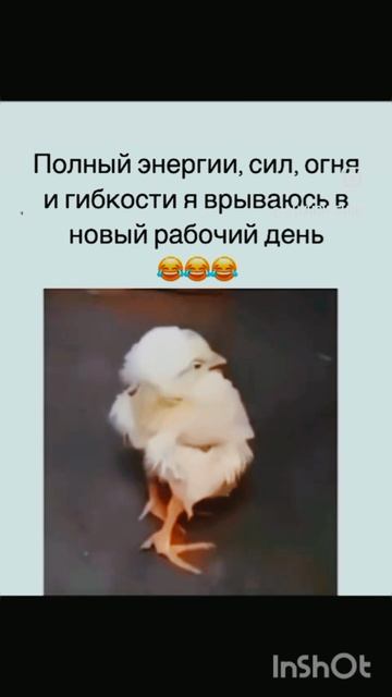 😂Юморок на денёк ✨ Улыбка дня 👍 Только для тебя ❤️ Слушай себя и своё сердце 💓 АМ35