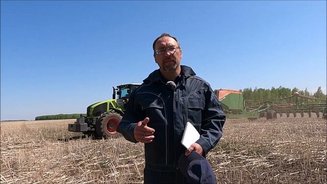 Алексей Кетов о сортах Кургансемена