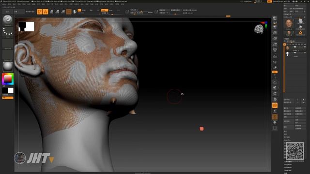 真实脸部贴图制作，maya、Substance 3D Painter、zbrush、zwrap