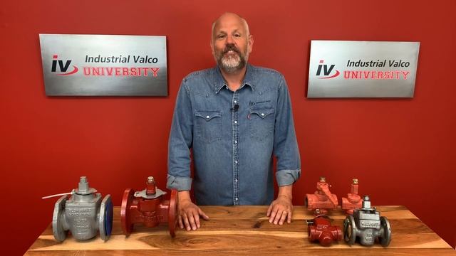 What are Plug Valves (w/ special guest Joe Exotic)