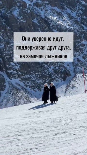 Что они там делают?